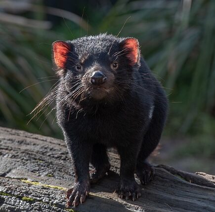 How To Pray To The Devil (As Christian)