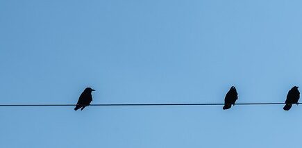 Why Should Believers Patiently Persevere